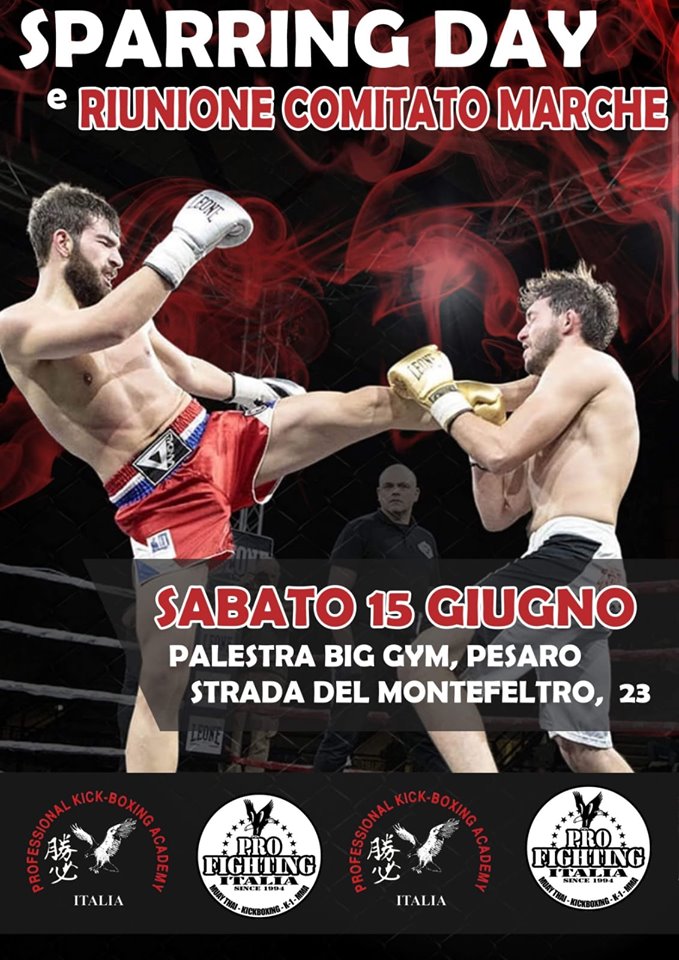 sparring-day-riunione-comitato-marche-sabato-15-giugno-2019-big-gym-pesaro